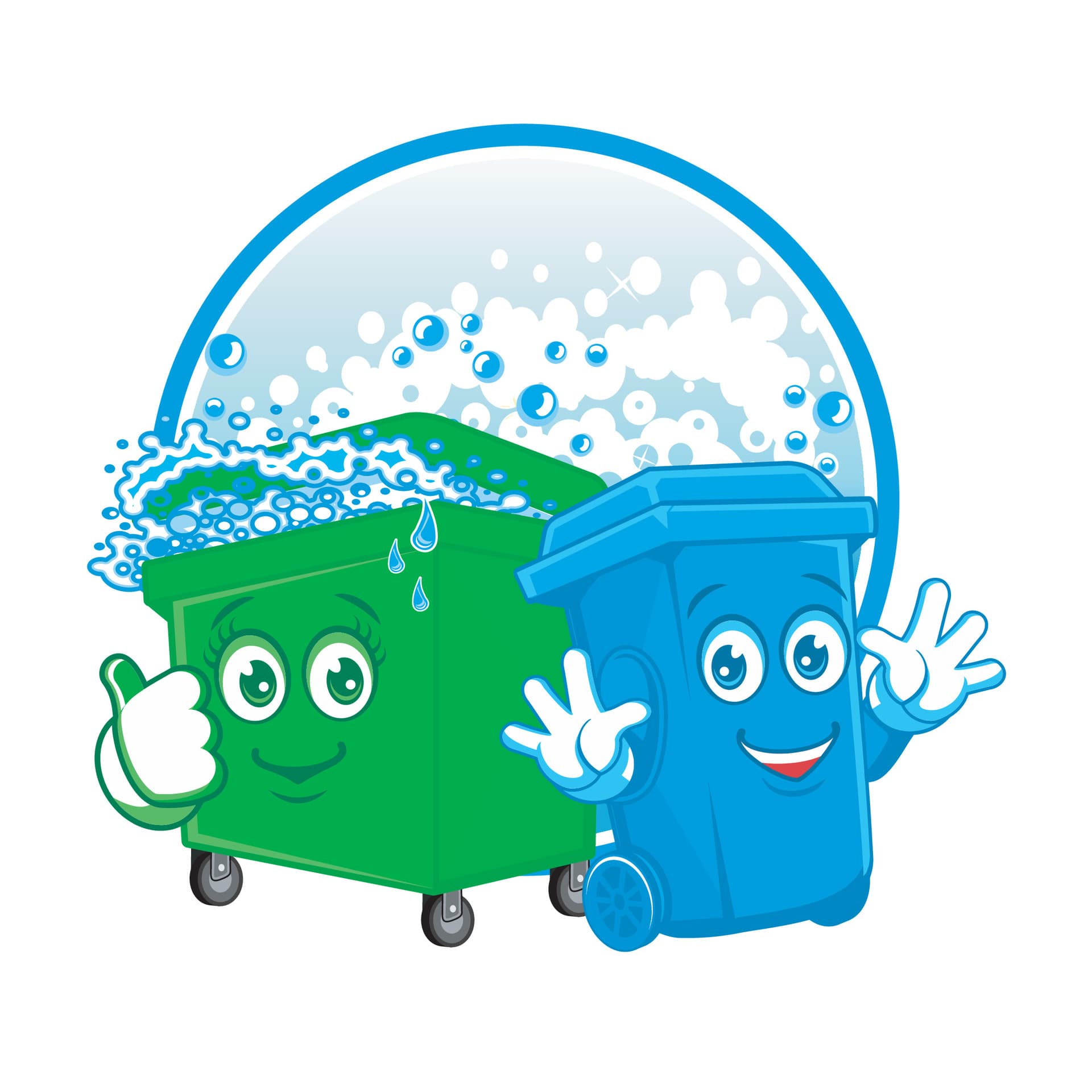 Professional bin cleaning service